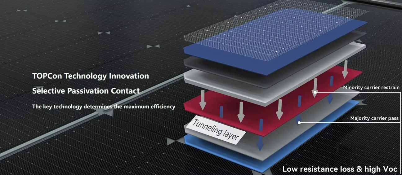 Jinko Tiger Neo 620W 太阳能电池板 晶科 Tiger Neo 605-630W N 型双面双玻高效组件